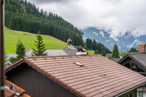 a roof of a building with a mountain in the background at Triebenstein Hideaway in Hohentauern