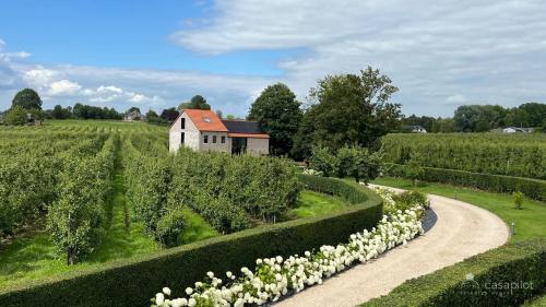a house in the middle of a field with white flowers at Le Clos du Verger in Aubel