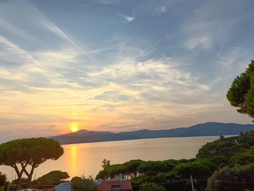 a sunset over a body of water with trees at Colibri41elba-Mami Suite in Trappola