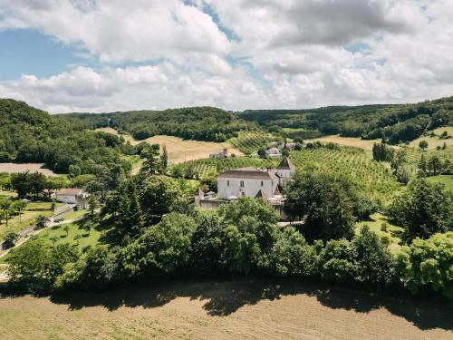 Chateau de Lamothe d'Anthe