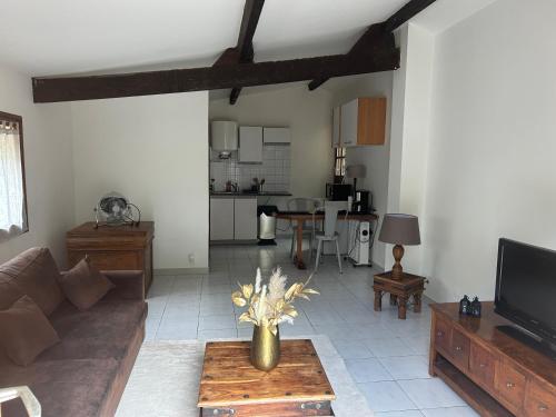 a living room with a couch and a tv and a table at Cosy house in Saint-Aunès