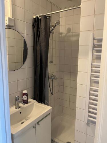 a bathroom with a shower and a sink and a tub at Flat brussels center in Brussels