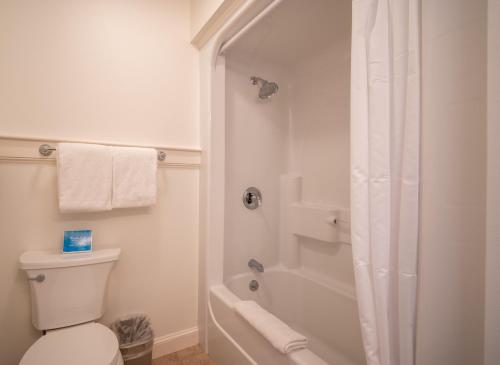 a white bathroom with a shower and a toilet at The Winstead Inn in Harwich