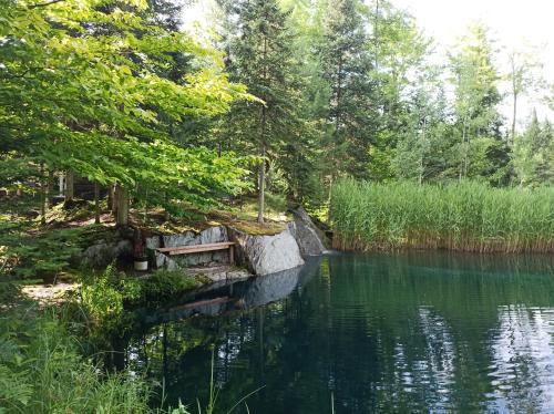 a pond with a bench and some trees and water at Hummingbird Room - Modern & Cozy with Bistro Area in Mansonville