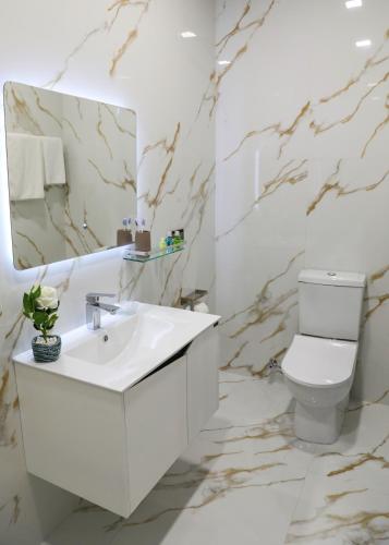 a bathroom with a sink and a toilet and a mirror at A e k a hotel Y V N in Yerevan