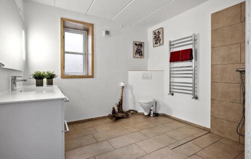 a bathroom with a toilet and a sink and a window at Awesome Home In Børkop With Wifi in Børkop