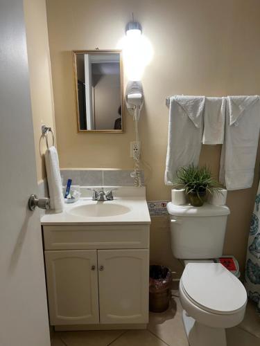 Xterra Palm Guest Houseにあるバスルーム