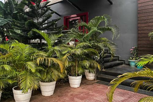 a bunch of plants in pots in front of a building at Super Townhouse Swain Heritage in Bhubaneshwar