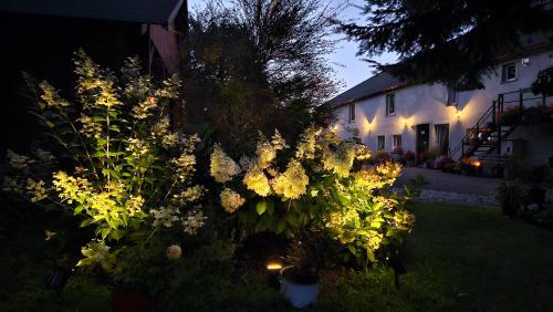 a garden with flowers and a house at night at Noclegi u Przewodników - Zwiedzaczek in Lubawka