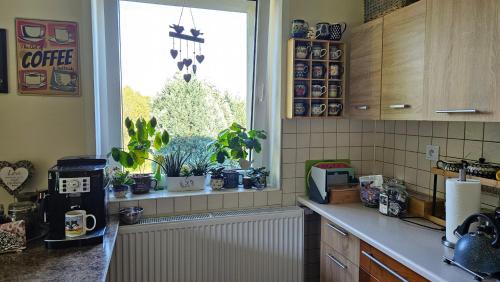 a kitchen with a window with plants on the counter at Noclegi u Przewodników - Zwiedzaczek in Lubawka