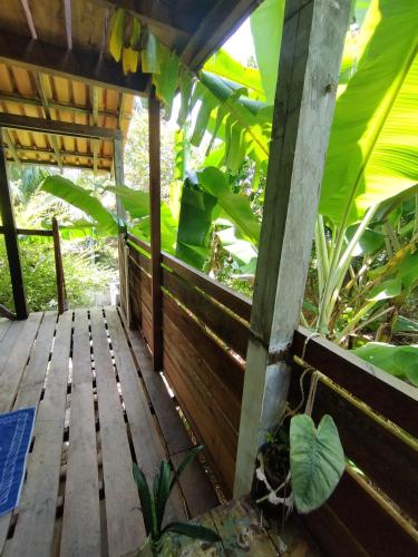 a wooden porch in a garden with plants at Casa Anahata in Algodoal