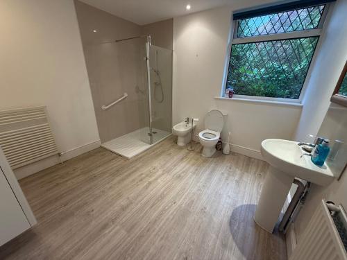 a bathroom with a shower and a toilet and a sink at Bright & Cozy Countryside Bungalow in Tollerton