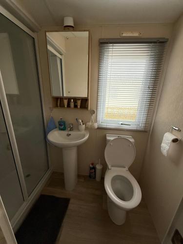 a small bathroom with a toilet and a sink at Andreas Riverside Retreat at 7 Lakes Country Park in Crowle