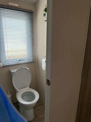 a bathroom with a white toilet and a window at Andreas Riverside Retreat at 7 Lakes Country Park in Crowle