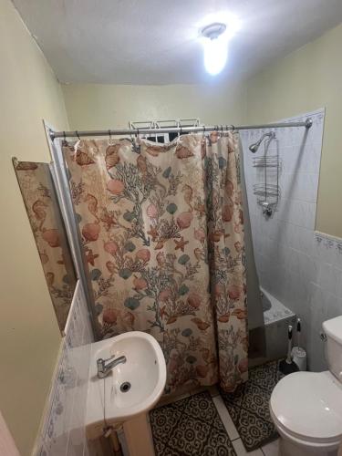 a bathroom with a shower curtain and a sink at Yaad Vibes Getaway in Santa Cruz