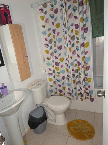 une salle de bain avec toilettes et rideau de douche dans l'établissement Arriendo departamento amoblado por día, à Villa Alemana