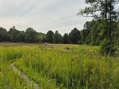 a field of tall grass with a tree in the background at 5 star holiday home in Hovborg-By Traum in Hovborg