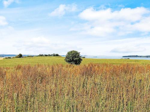 a tree in the middle of a field of tall grass at 7 person holiday home in Faaborg-By Traum in Fåborg