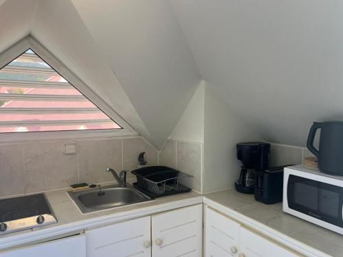 Η κουζίνα ή μικρή κουζίνα στο Tobago magnifique appartement vue mer complexe pierre et vacances