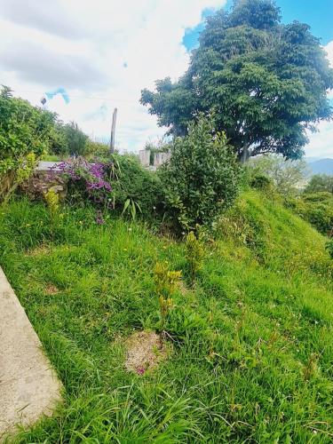 Κήπος έξω από το MIRADOR CHURUGUACO Alto