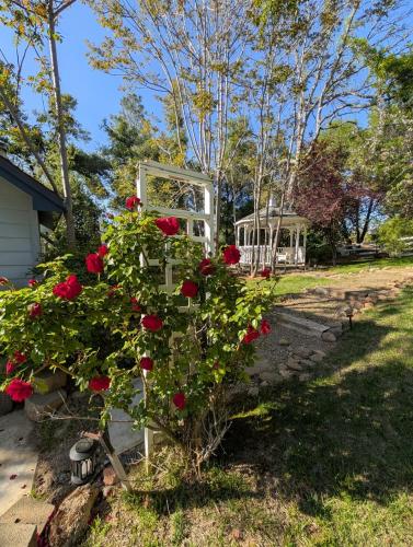 a bush of red roses in front of a house at The Blue Resort of Yosemite - Pool, Spa, Games in Mariposa