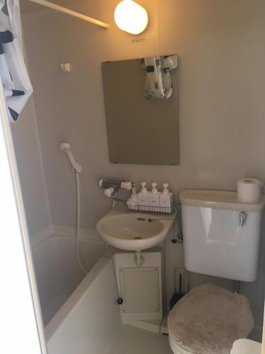 a bathroom with a sink and a toilet and a mirror at Apartment in Narita 117 in Narita