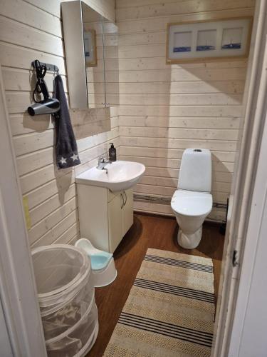 a small bathroom with a sink and a toilet at Small cottage in Toholampi