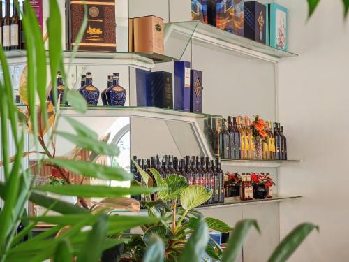 a shelf with bottles on it with a plant at Pham Gia Dalat Villa & Hotel in Da Lat