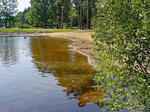 a body of water with trees and a sandy shore at 6 person holiday home in ÖRKELJUNGA in Orkelljunga
