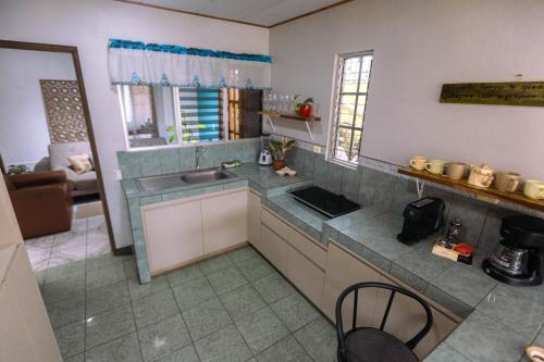 Una cocina o cocineta en Hojas Verdes Rental House Excelente ubicación cerca de Campo Ferial Palmares
