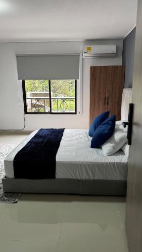 カリにあるVenezia 202の青い枕と窓のあるベッドのある寝室