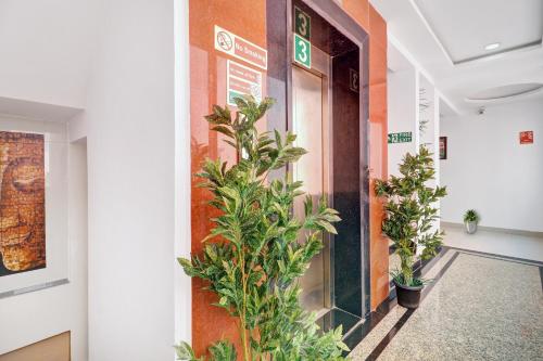 a corridor in a building with potted plants at Super Townhouse RCC PARK VIEW INN in Hyderabad
