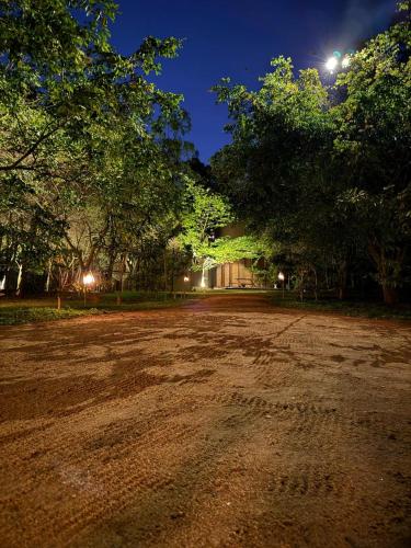 an empty dirt road at night with trees and lights at Turtle Pond Wilpattu in Wilpattu