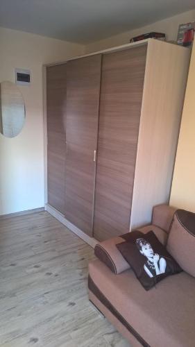 salon z kanapą i szafą w obiekcie DRAGON Apartments (Helena) w Krakowie
