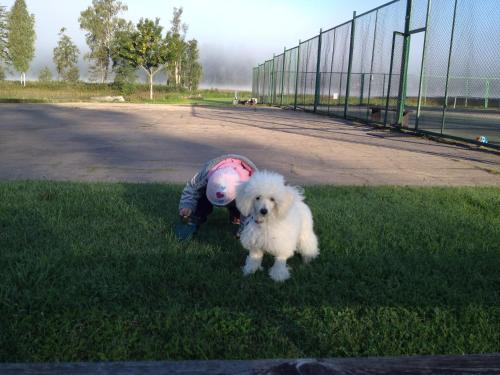 a small white dog standing next to a person in the grass at Sammuli Holiday Village in Viljandi
