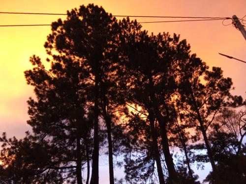 a group of trees in front of a sunset at Colors Hostal in Boquete