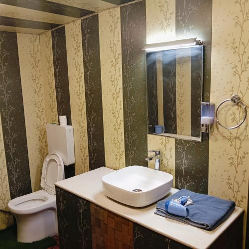 a bathroom with a sink and a toilet at Houseboat Lakeview Retreat in Srinagar