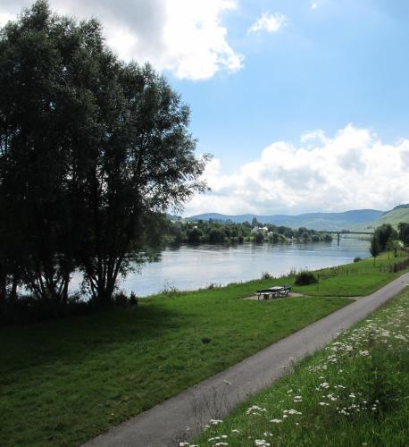 a park with a picnic table next to a river at Mosel - River - Quartier 31 in Lieser