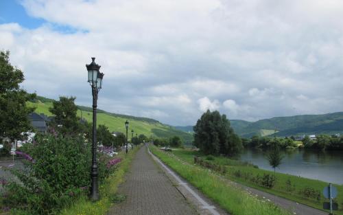 a street with a light pole next to a river at Mosel - River - Quartier 31 in Lieser