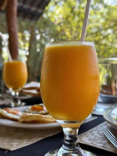 a glass of orange juice sitting on top of a table at Turtle Pond Wilpattu in Wilpattu