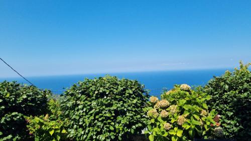 Crystalias country house