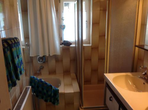 Un baño de Freudenmacher