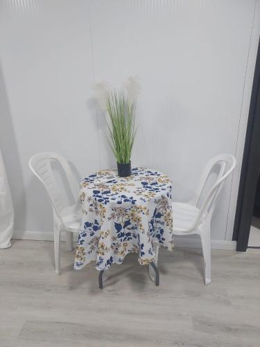 a table with a plant on it with two chairs at בקתה על הנחל in Yuval