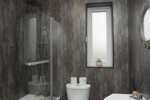 a bathroom with a toilet and a sink and a mirror at 2-Bed Flat Wishaw Free Parking Family-Friendly in Wishaw