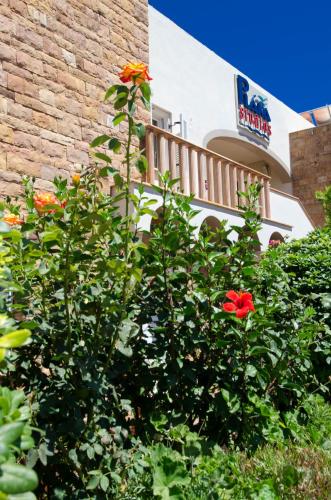 a bush with red flowers in front of a building at Plaka Studios in Karfas