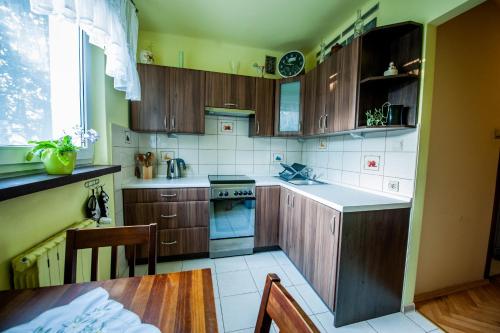 Een keuken of kitchenette bij Apartament Eliza w Skawinie