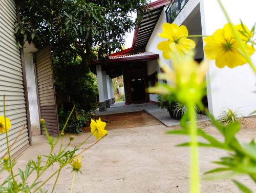 a house with yellow flowers in front of it at The Nest in Weligama