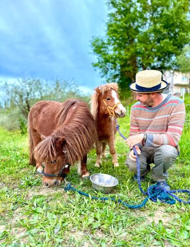 a man in a hat sitting next to a small pony at Agriturismo La Pineta in Fucecchio