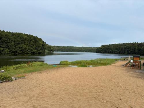a sandy beach next to a body of water at Ośrodek Wypoczynkowy Sosenka in Załom