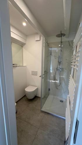 a bathroom with a glass shower and a toilet at NEU Keitum - Moderne Gemütlichkeit unter Reet in Sylt